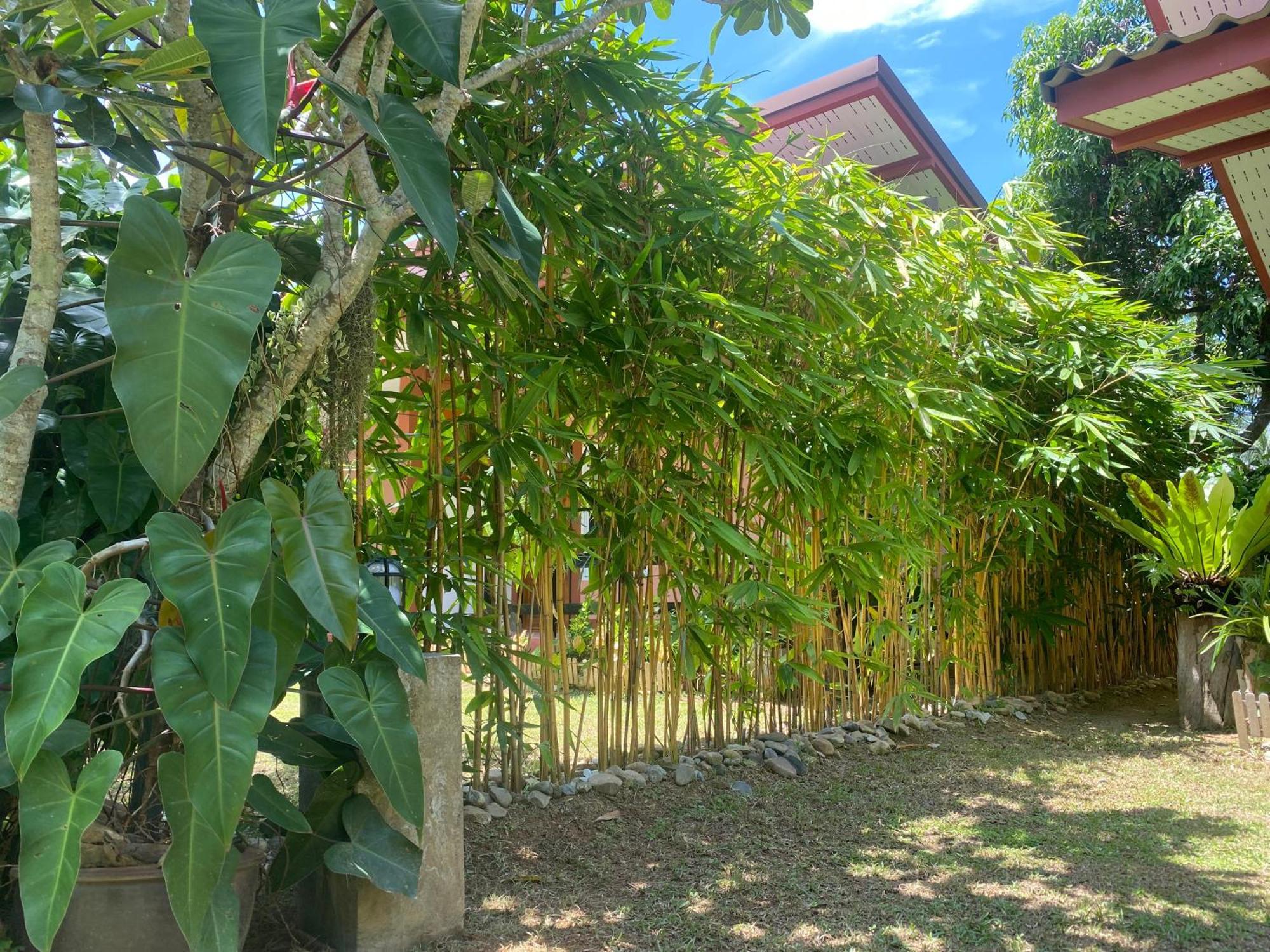 Hostel Baan Longhaad Ko Lanta Exterior foto