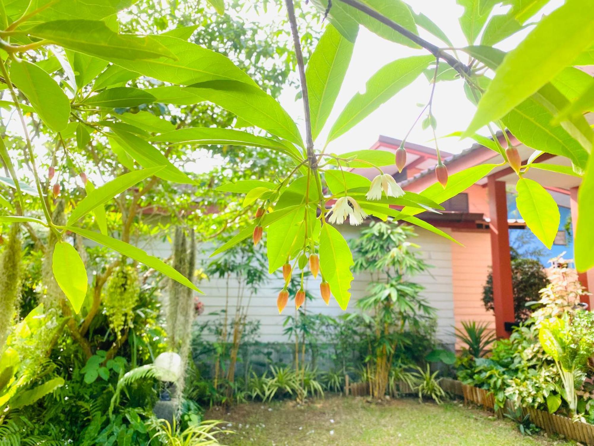 Hostel Baan Longhaad Ko Lanta Exterior foto